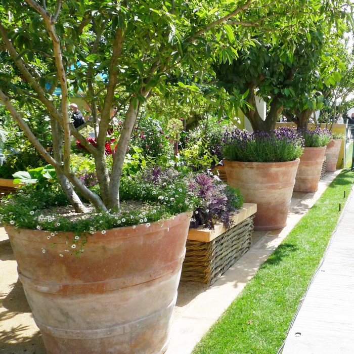 Italian Terracotta Plant Pots A Critical Look