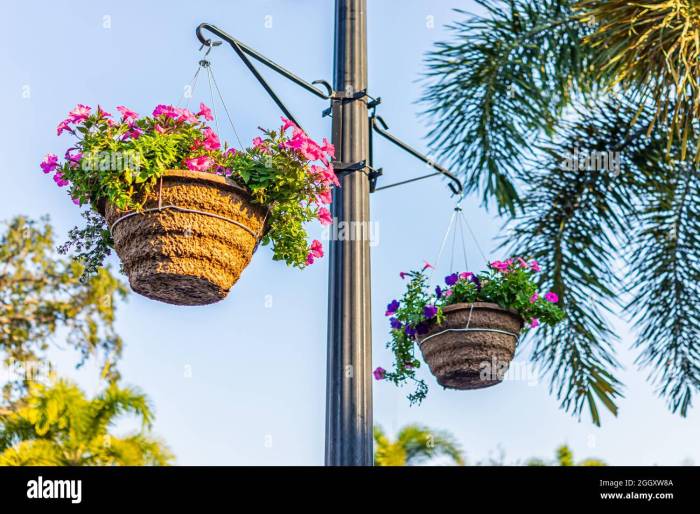 Plant Pots w/ Center Pole A Deep Dive