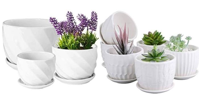 Home Depot Ceramic Plant Pots A Gardeners Guide