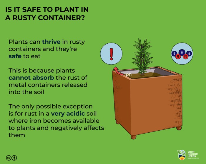 Will a rusty pot kill a plant