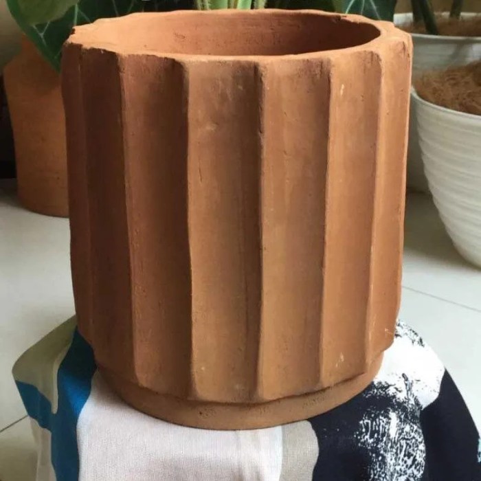 8 Inch Terracotta Plant Pots A Gardeners Guide